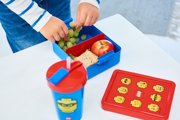 lego lunch set, iconic, to go, share, lunch, healthy, nutrition, household, food, happy